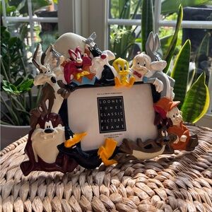 Vintage 1994 Warner Bros. Studio Looney Tunes RARE frame